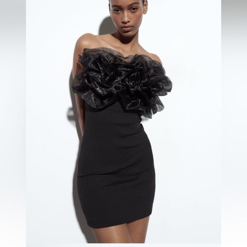 Zara NWT rib organza dress black
